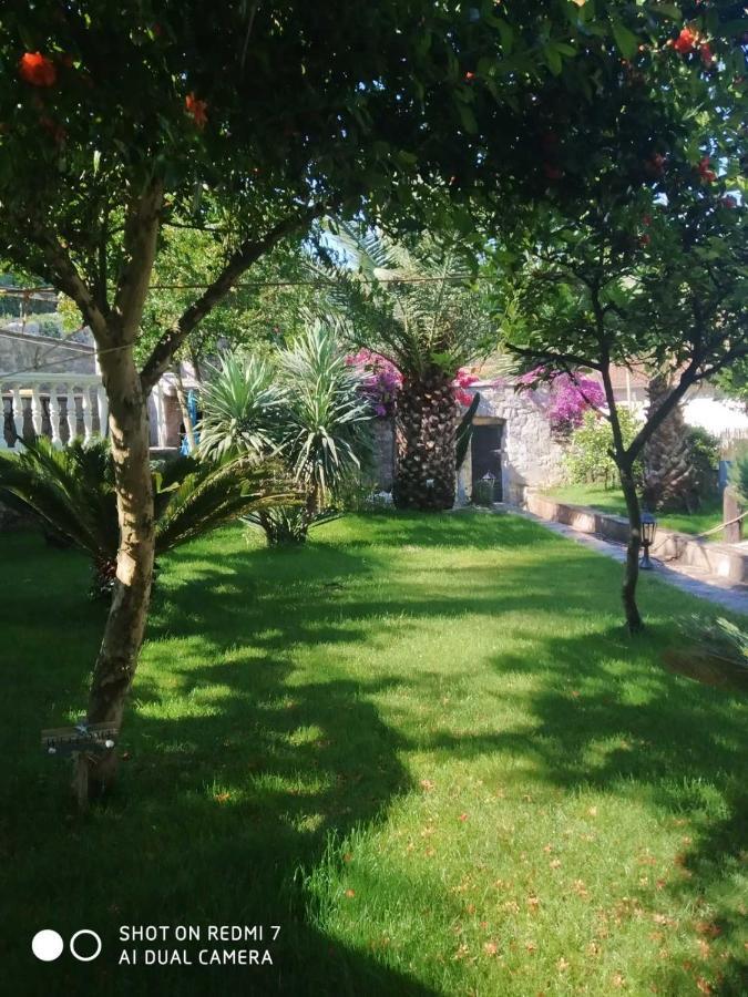 Villa Stella Rose Luštica Esterno foto